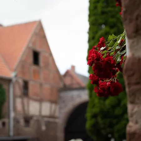 Traumhaftes Anwesen Mit Gutshaus Und Nebenhaus Gutenswegen